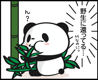 お買いものパンダ4コマ漫画 マンガ を見逃した方のために 過去の画像まとめ その スマホクラブ