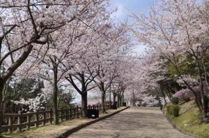 須磨浦公園