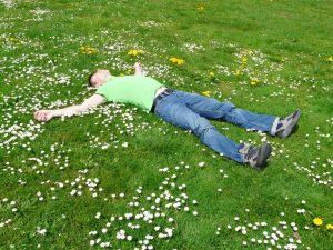 high-angle-view-of-lying-down-on-grass-258330